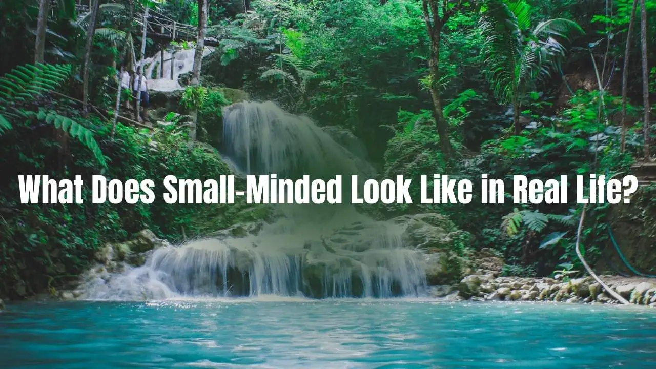 What Does Small-Minded Look Like in Real Life?