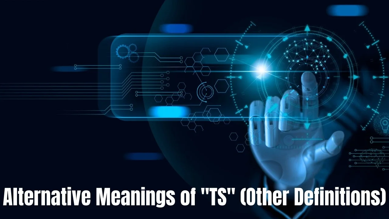 Alternative Meanings of "TS" (Other Definitions)
