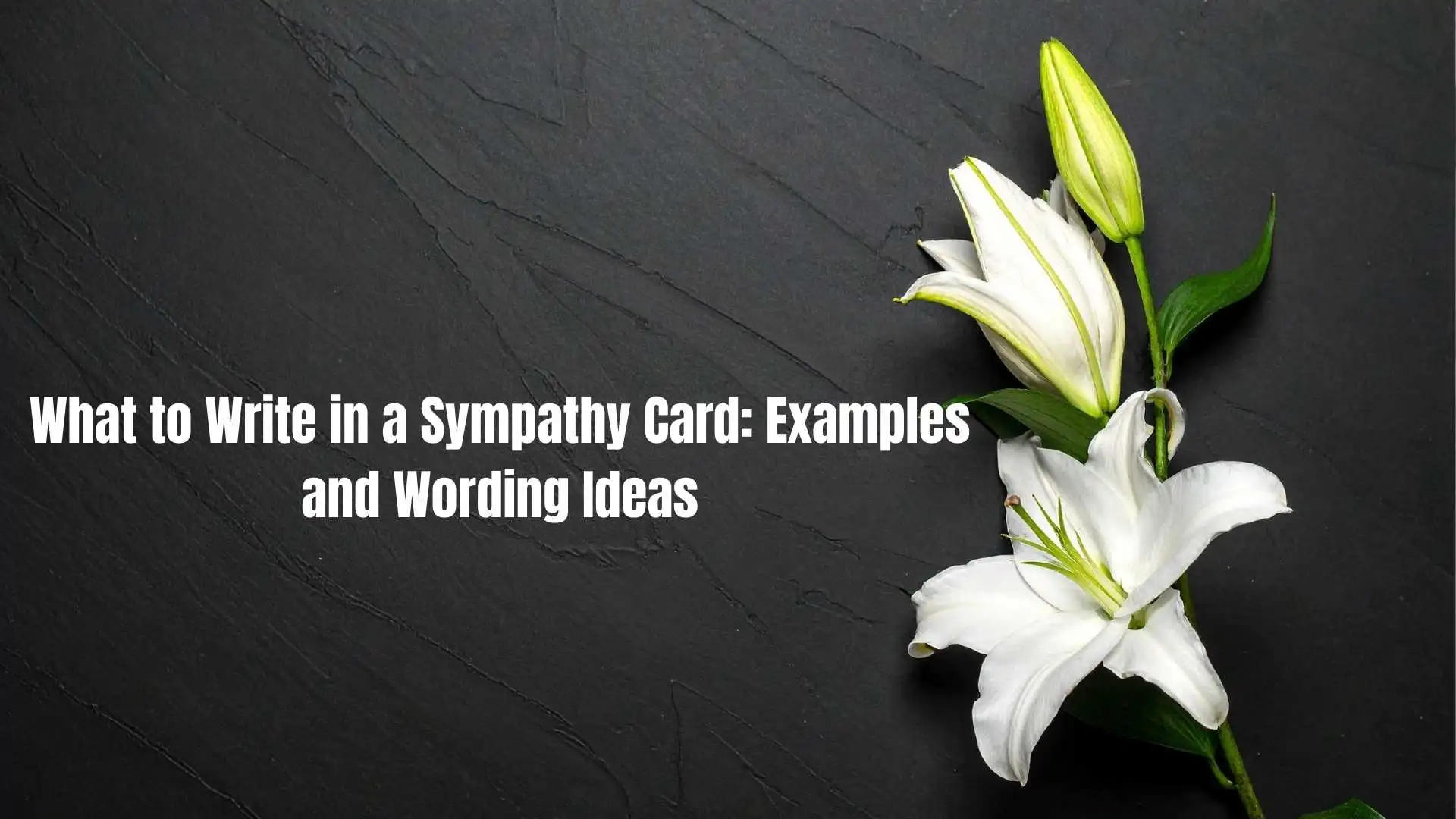 What to Write in a Sympathy Card: Examples and Wording Ideas