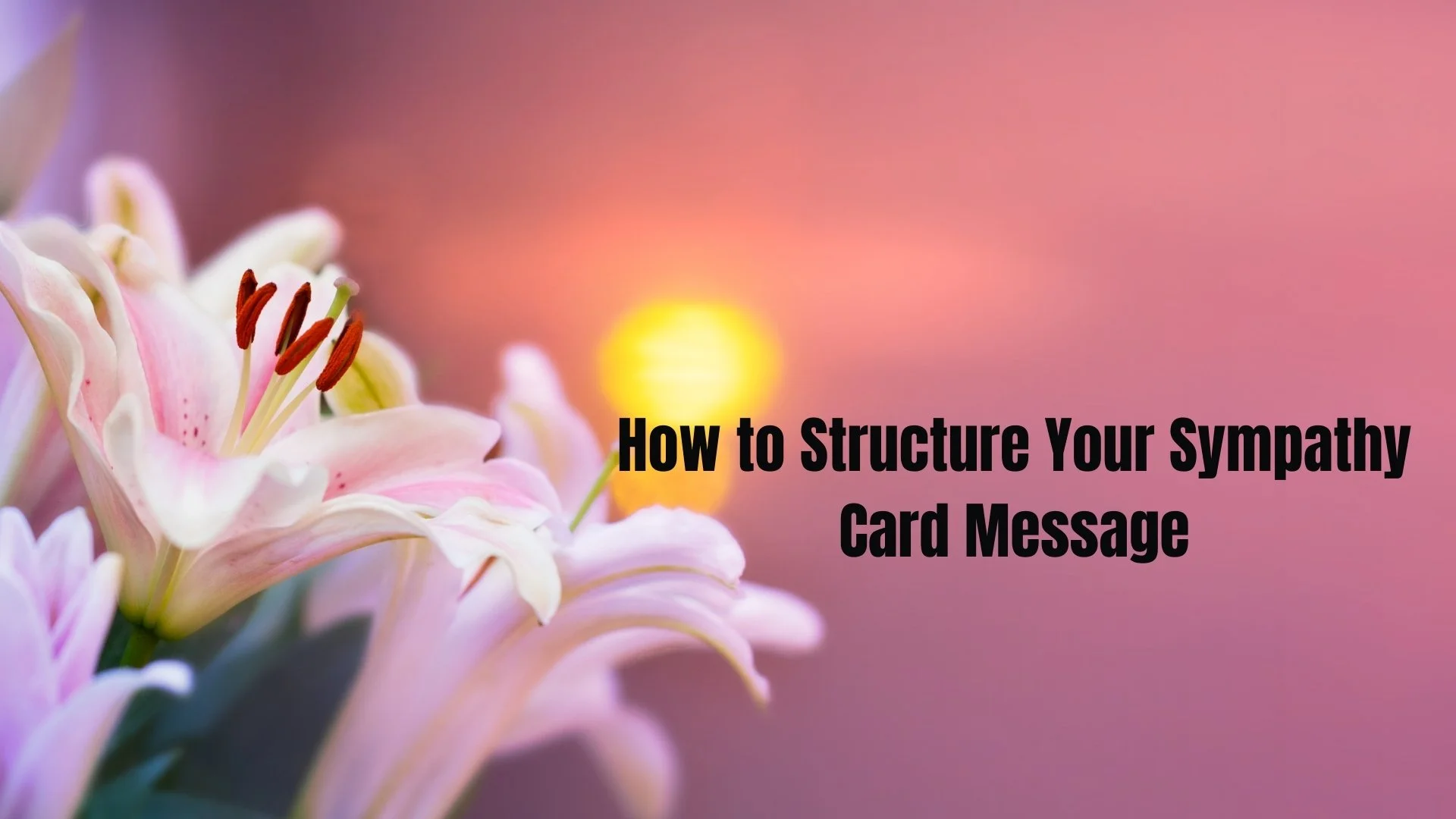 How to Structure Your Sympathy Card Message