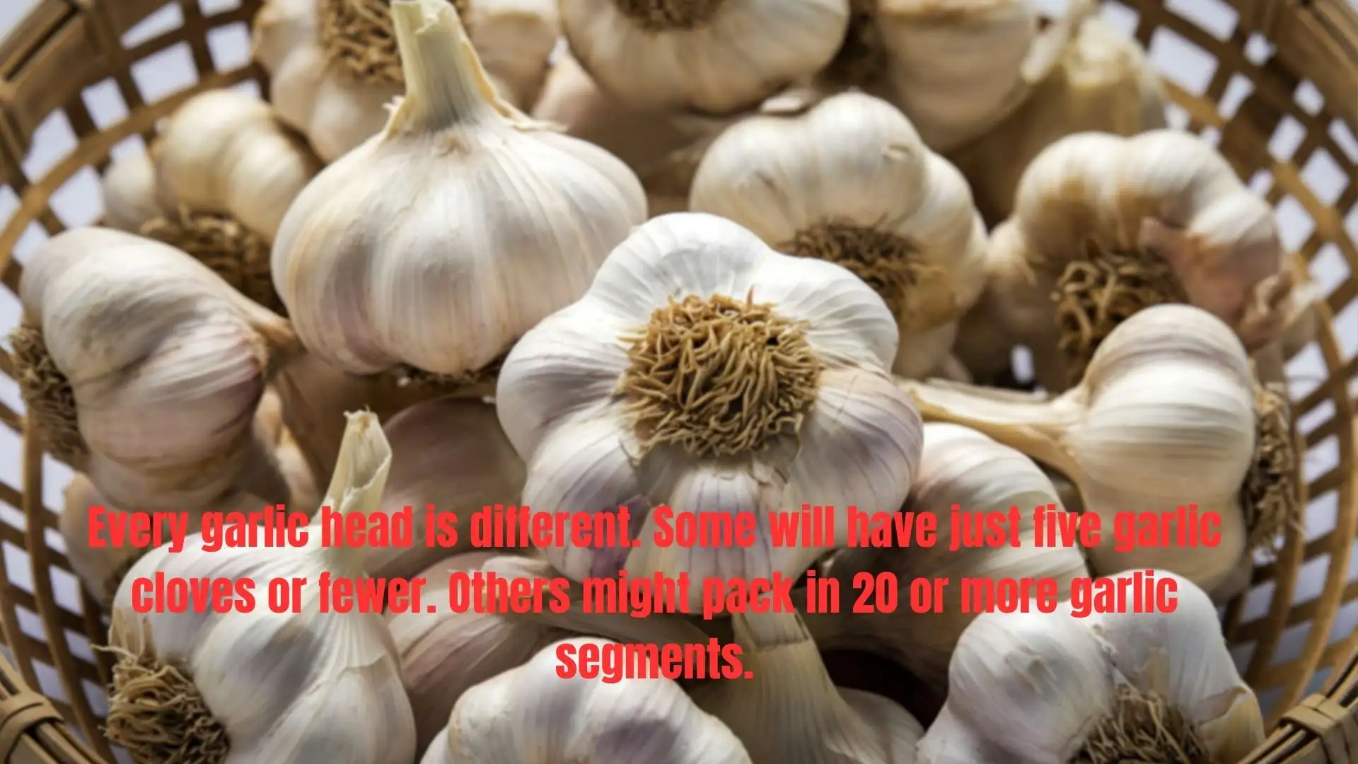 Every garlic head is different. Some will have just five garlic cloves or fewer. Others might pack in 20 or more garlic segments.